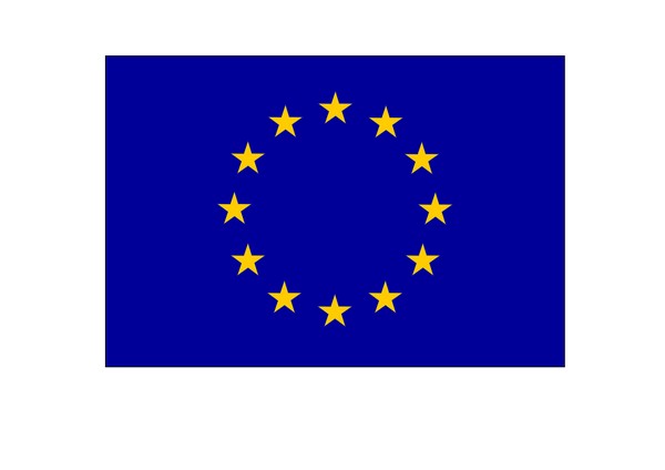 eu flag