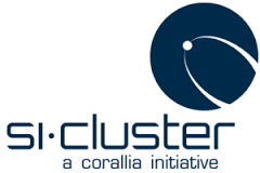 si cluster